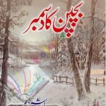 Bachpan Ka December Novel