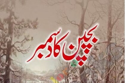 Bachpan Ka December Novel