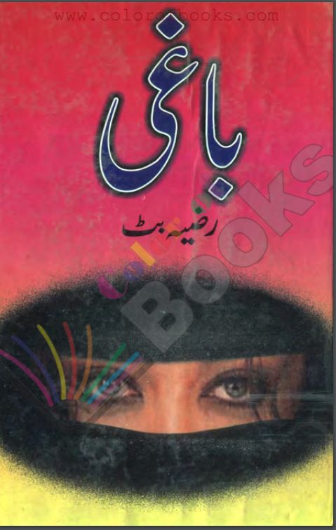 Baghi Novel