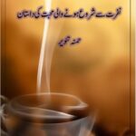 Nafrat Se Shuru Hone Wali Muhabbat Ki Dastan Novel