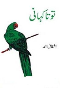 Toota Kahani Novel