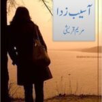 Aseeb Zada Novel