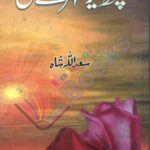 Kuch Dair To Thehr Ay Dil Book