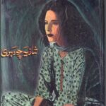 Shaher e Dil Kay Darwazy Novel
