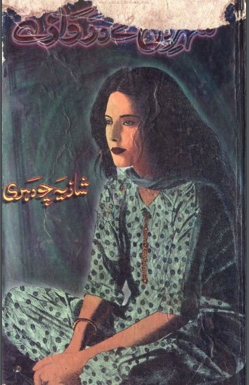 Shaher e Dil Kay Darwazy Novel