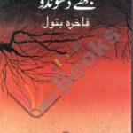 Ab Bahray Shaher Main Mujhe Dhoondo Book