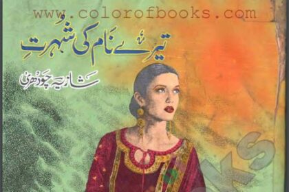 Tery Naam Ki Shohrat Novel