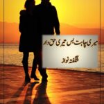 Mere Chahat Bas Tere Haqdar Novel