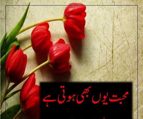 Mohabbat Youn Bhi Hoti Hai Novel