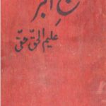 Hajj e Akbar Novel