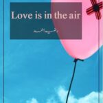 Love is in the Air Novel