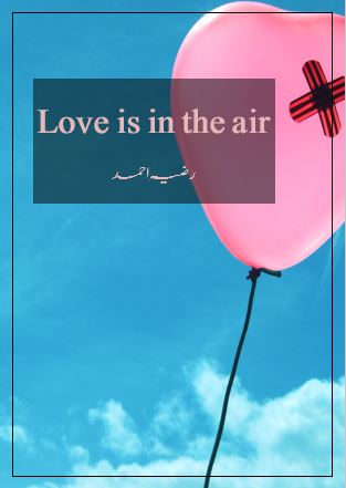 Love is in the Air Novel