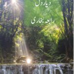 Diyar e Dil Novel