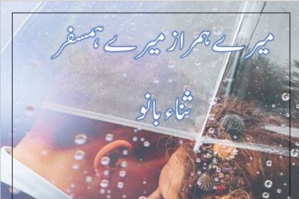 Mere Humraz Mere Humsafar Novel By: Sana Bano