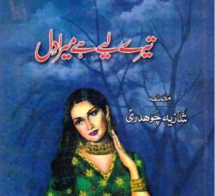Tere Liye Hai Mera Dil Novel