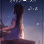 Mere Muhabbat Mere Tabahi Novel By:Zonera Riaz | 2020 Free Download Pdf