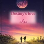 Destiny' s love Novel