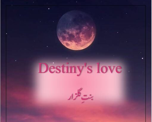 Destiny' s love Novel