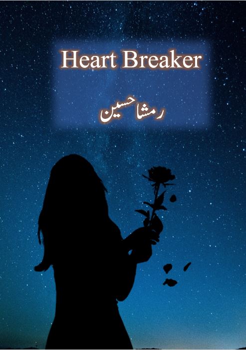 Heart Breaker Novel