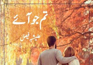 Tum Jo Aye Novel