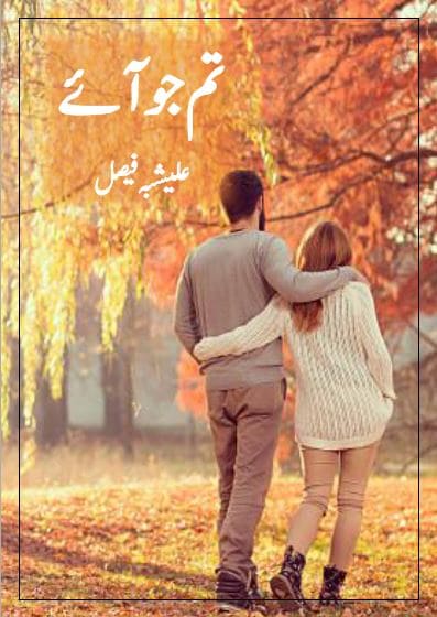 Tum Jo Aye Novel