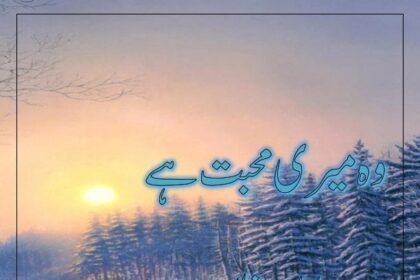 Wo Meri Muhabbat Hai Novel