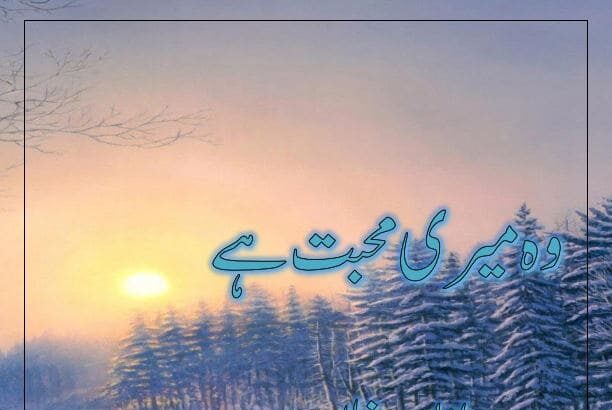 Wo Meri Muhabbat Hai Novel