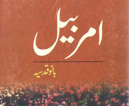 Amar Bail Novel