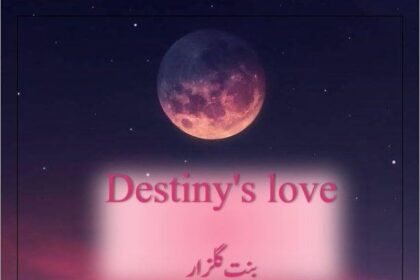 Destiny’ s Love Novel