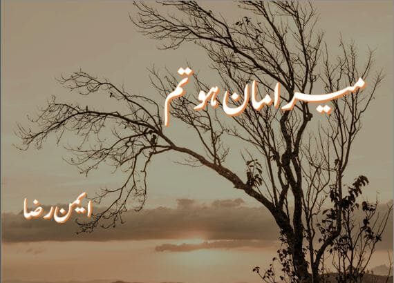 Mera Maan Ho Tum Novel