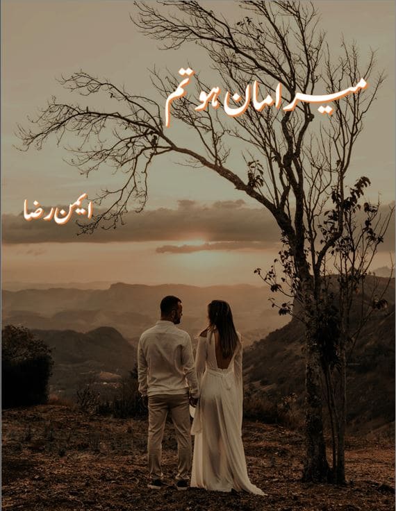 Mera Maan Ho Tum Novel