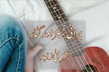 Purani Jeans Aur Guitar Novel