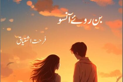 Bin Roye Ansoo Novel