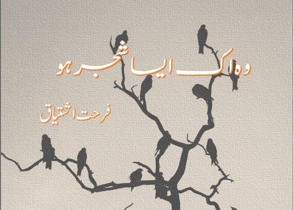 Woh Aik Aisa Shajar Ho Novel