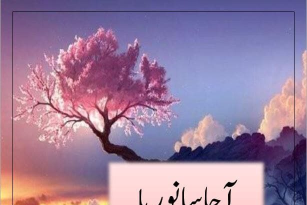 Aja Sanwarya Novel
