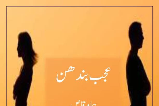 Ajab Bandhan Novel