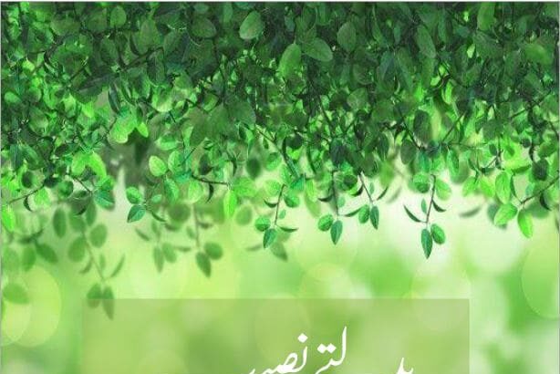 Badalty Naseeb Novel