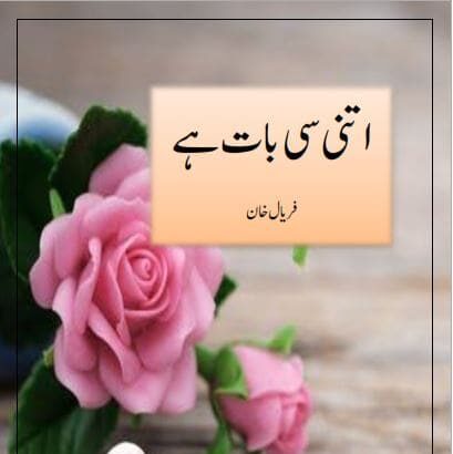 Itni Si Baat Hai Novel