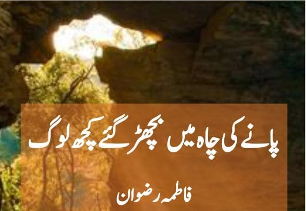 Paany Ki Chah Main Bichar Gye Kuch Log Novel