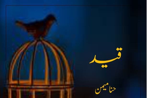 Qaid Novel