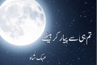 Tum Hi Se Pyar Kar Bethy Novel
