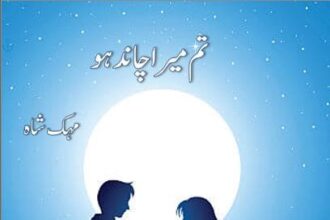 Tum Mera Chand Ho Novel
