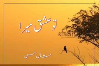 Tu Ishq Mera Novel