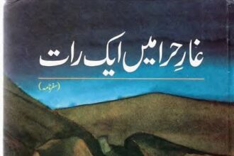 Ghar e Hira Main Aik Raat Book
