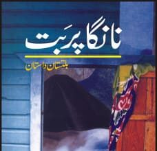 Nanga Parbat Book
