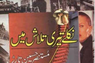 Niklay Teri Talash Mein Novel