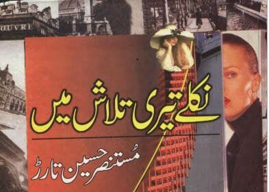 Niklay Teri Talash Mein Novel