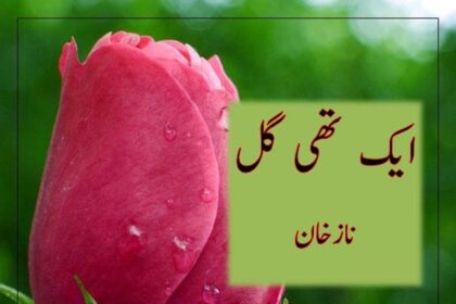 Ek Thi Gull Novel