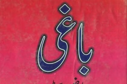 Baghi Novel