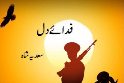 Fiday e Dil Novel